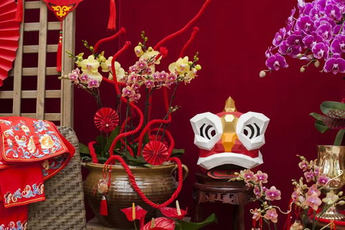 虹越黑五2019年宵花禮5折預(yù)售 與家人動(dòng)手過(guò)新年，禮品花卉溫暖冬日